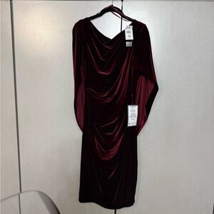 Betsy & Adam Deep Red Velvet Long Sleeve Dress